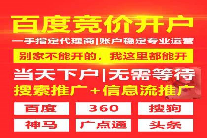 谷歌SEM广告投放策略解析：一家旅游公司的成功案例